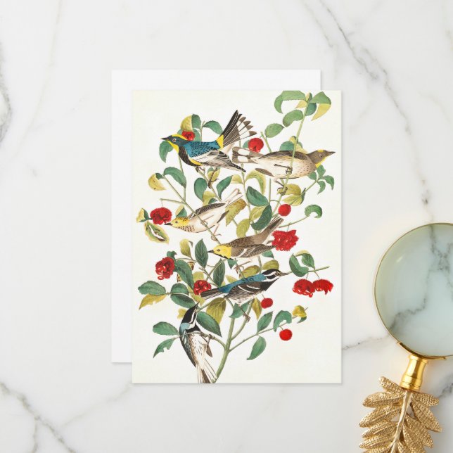 Cartão De Agradecimento Warbler de John James Audubon (Frente/Verso In Situ)