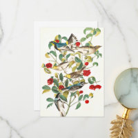 Warbler de John James Audubon