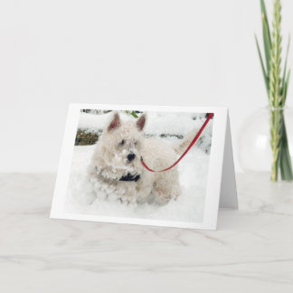 Cartão De Agradecimento Westie greetings card birthday thankyou get w etc.
