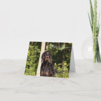 Wet Gordon Setter Obrigado Nota