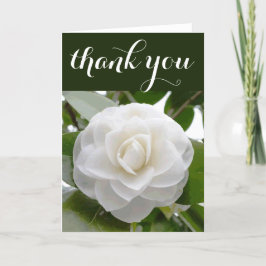 Cartão De Agradecimento White Camellia Watercolor Fine Floral Obrigado