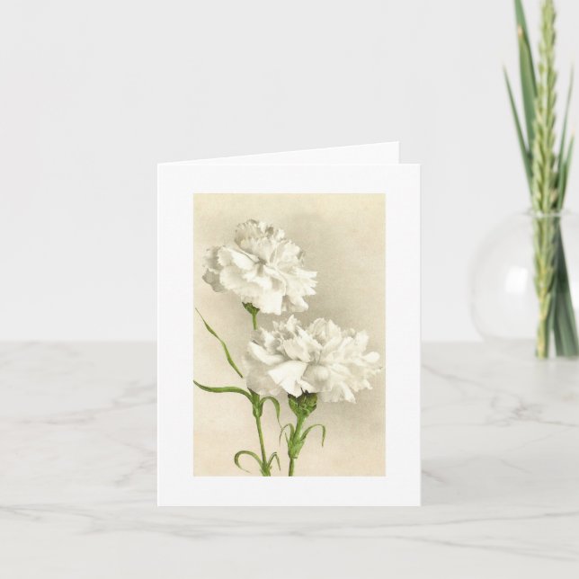 Cartão De Agradecimento White Carnation Thinking of You/Thank You Card (Frente)