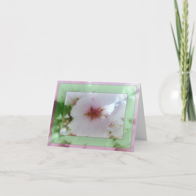 Cartão De Agradecimento White Cherry Blossom Reflections  Note Card (Frente)