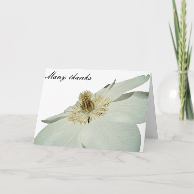 Cartão De Agradecimento white clemetis thank you card (Frente)