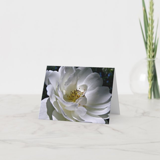 Cartão De Agradecimento White Rose Note Card (Frente)