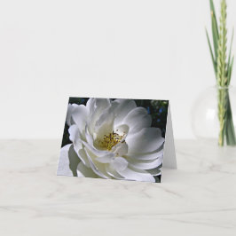 Cartão De Agradecimento White Rose Note Card