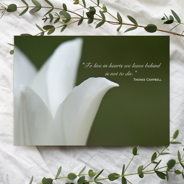 Cartão De Agradecimento White Tulip Obrigado pela sua simpatia (Criador carregado)