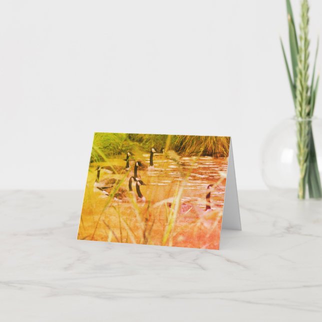 Cartão De Agradecimento Wild Canada Geese Nature Vazio Note Card (Frente)