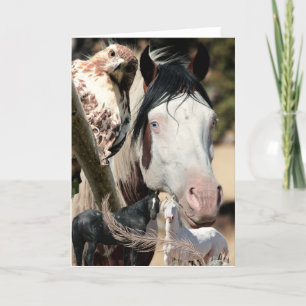 Cartão De Agradecimento Wild Dreams and Feather "Mustang Meg" WILD CARD