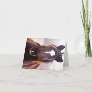 Cartão De Agradecimento Wild Mustange Oklahoma