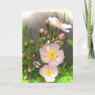 Cartão De Agradecimento Wild Rose Flowers Thank You