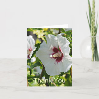 Cartão De Agradecimento Wildflower Hibiscus, Thank You