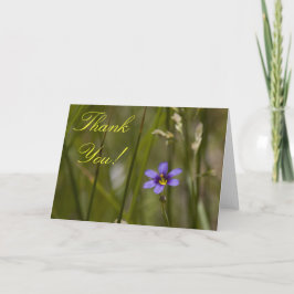 Cartão De Agradecimento Wildflower Thank You Card 6
