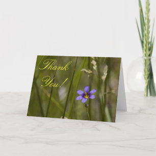 Cartão De Agradecimento Wildflower Thank You Card 6