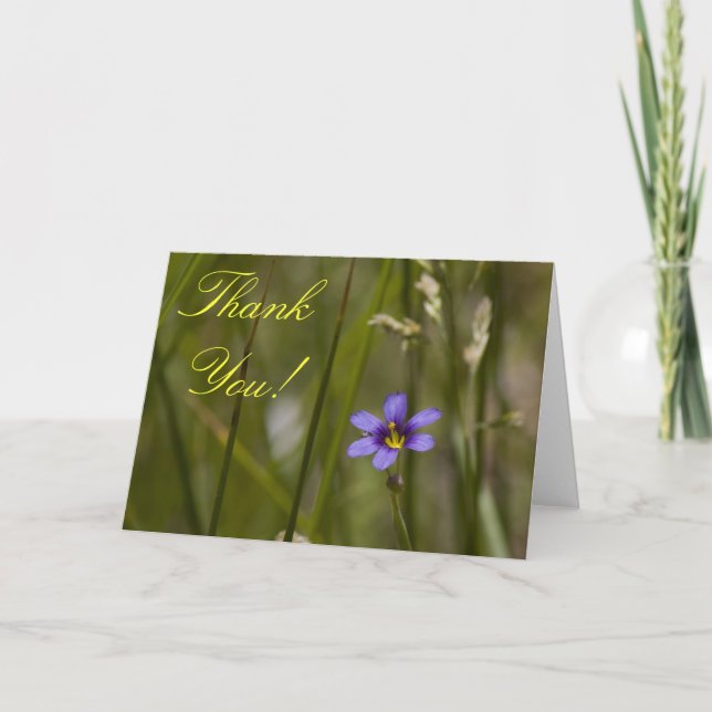 Cartão De Agradecimento Wildflower Thank You Card 6 (Frente)