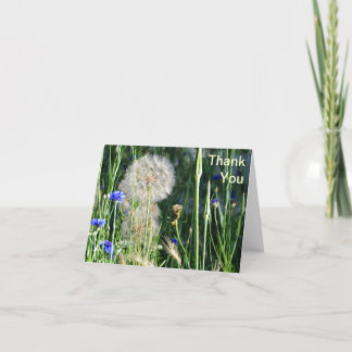 Cartão De Agradecimento Wildflowers and Puffball, Thank You