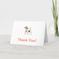 Wire Haired Fox Terrier