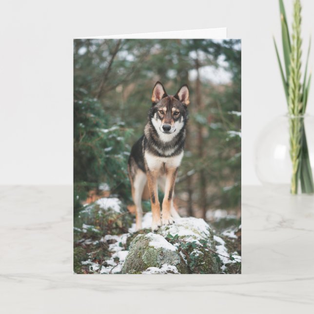 Cartão De Agradecimento Wolfdog (Frente)