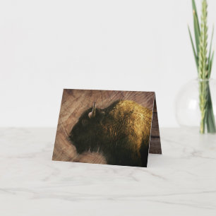 Cartão De Agradecimento Wood Bison Buffalo