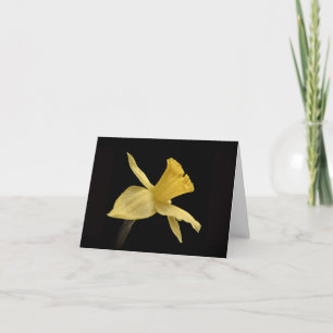 Cartão De Agradecimento Yellow Daffodil Thank You Card
