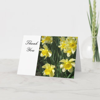 Cartão De Agradecimento Yellow Daffodils Flowers Thank You