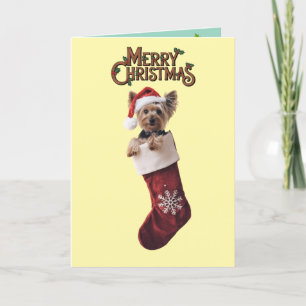 Cartão De Agradecimento Yorkie Natal