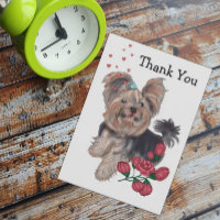 Yorkshire Terrier