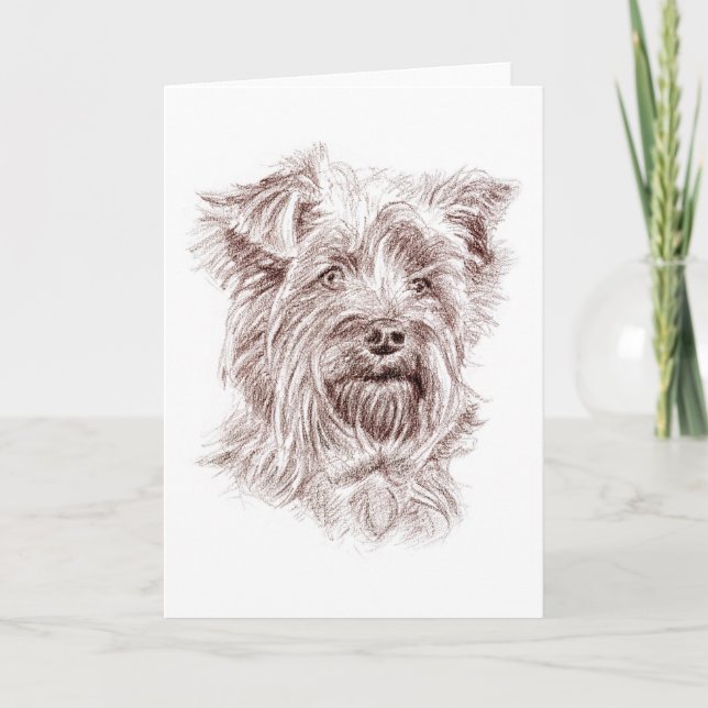 Cartão De Agradecimento Yorkshire Terrier Drawing (Frente)