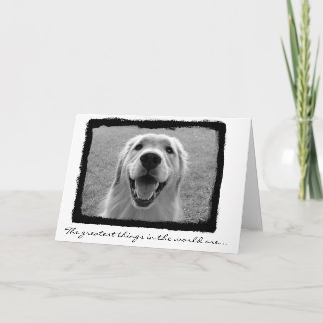 Cartão De Agradecimento You're Great Thank You! (Frente)