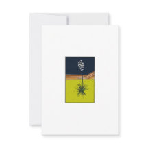 YUCCA