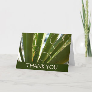 Cartão De Agradecimento Yucca Folaves