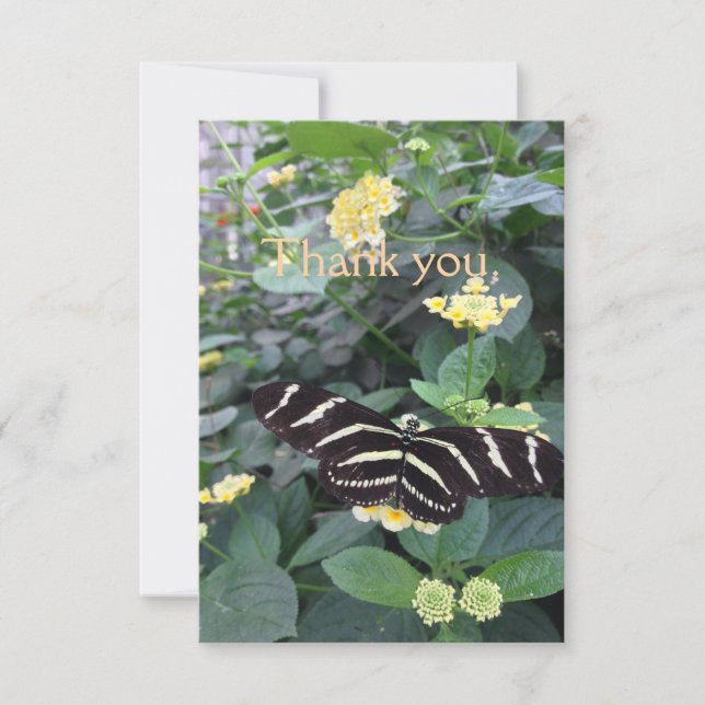 Cartão De Agradecimento Zebra Longwing Thank You Card (Frente)