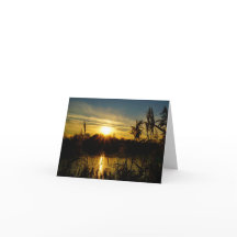 Zonsondergang bij een meertje met rietpluimen.