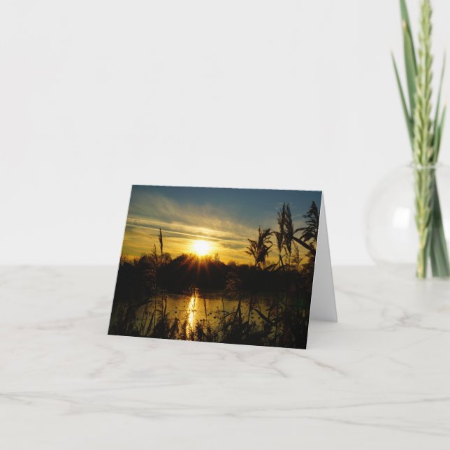 Cartão De Agradecimento Zonsondergang bij een meertje met rietpluimen. (Frente)