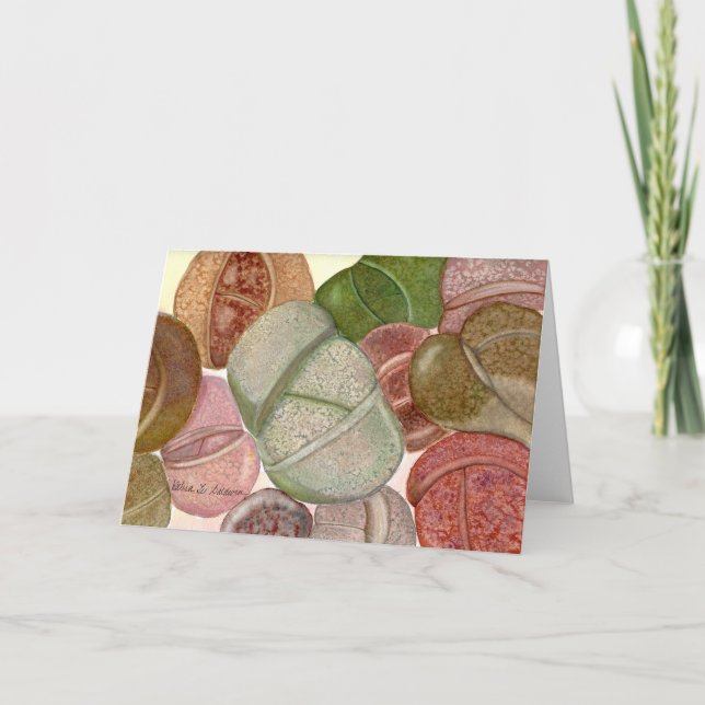 Cartão de água Lithops por Debra Lee Baldwin (Frente)
