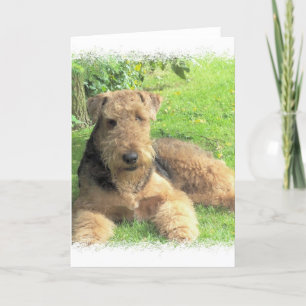 Cartão de Airedale Terrier