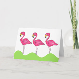 Cartão de Alojamento de Aves Rosa Tropical