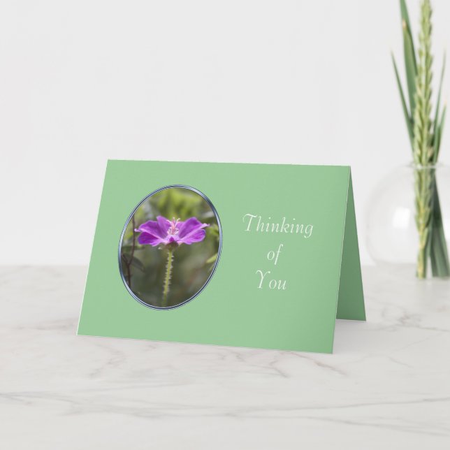 cartão de amizade (Frente)