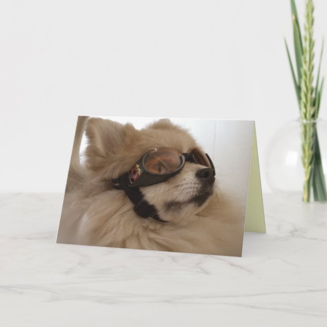 Cartão de Amizade da Pomerânia (Frente)