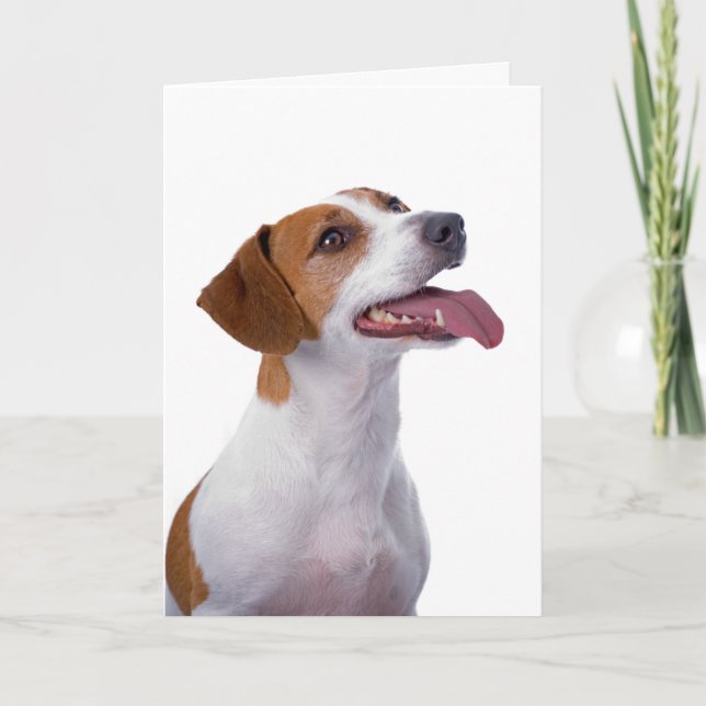 Cartão de Amizade Jack Russell Terrier (Frente)