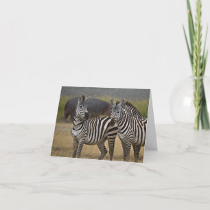 Cartão de amizade zebra