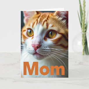 Cartão de Amor da Mamãe Gato Laranja