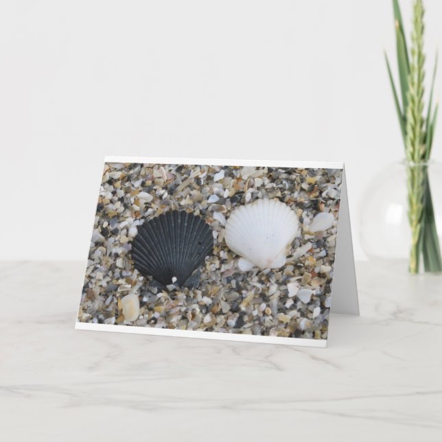Cartão de Amor de conchas marítimas (Frente)