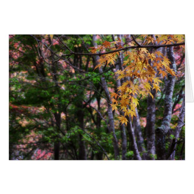 Cartão de Amor de outono (Frente Horizontal)