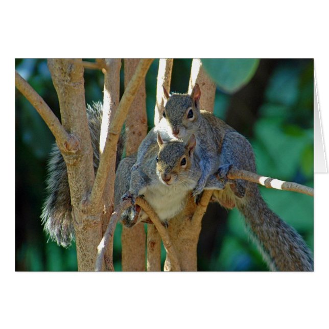 Cartão de Amor Irmão (Frente Horizontal)