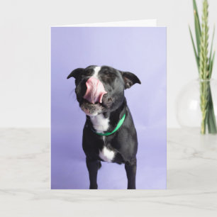 Cartão de Aniversário