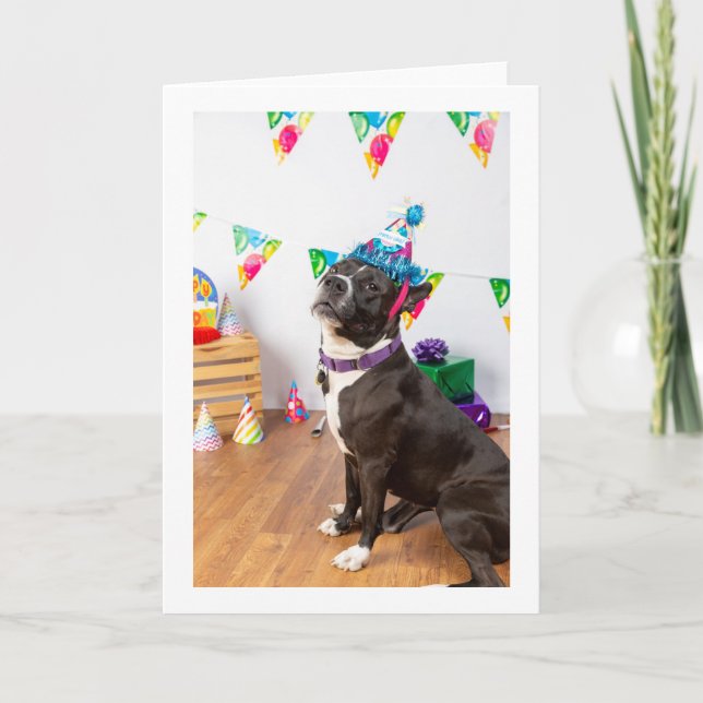 Cartão de aniversário (Frente)