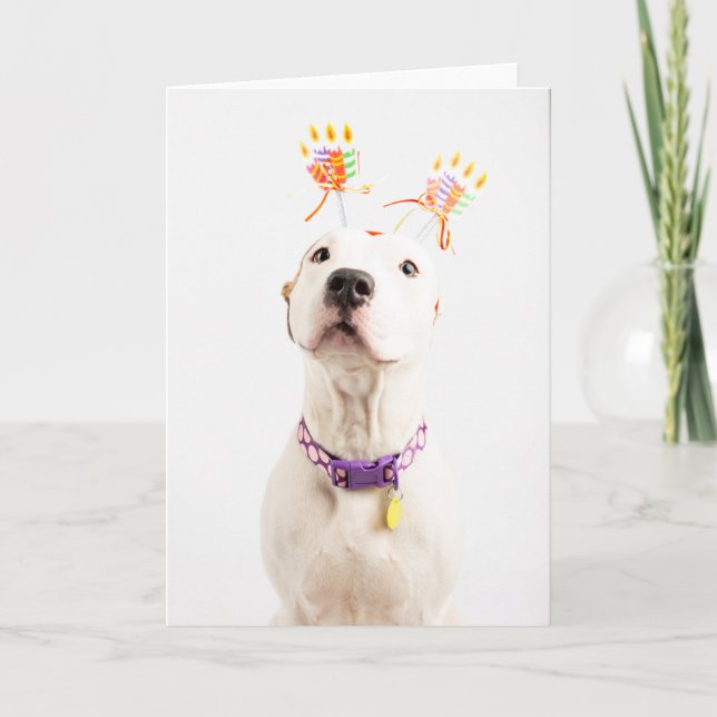 Cartão de aniversário (Frente)