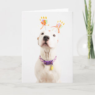 Cartão de aniversário