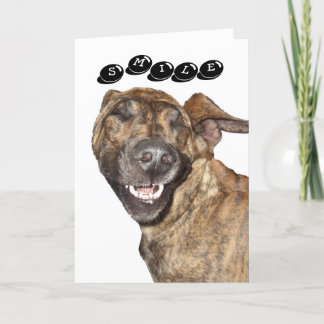 Cartão de Aniversário